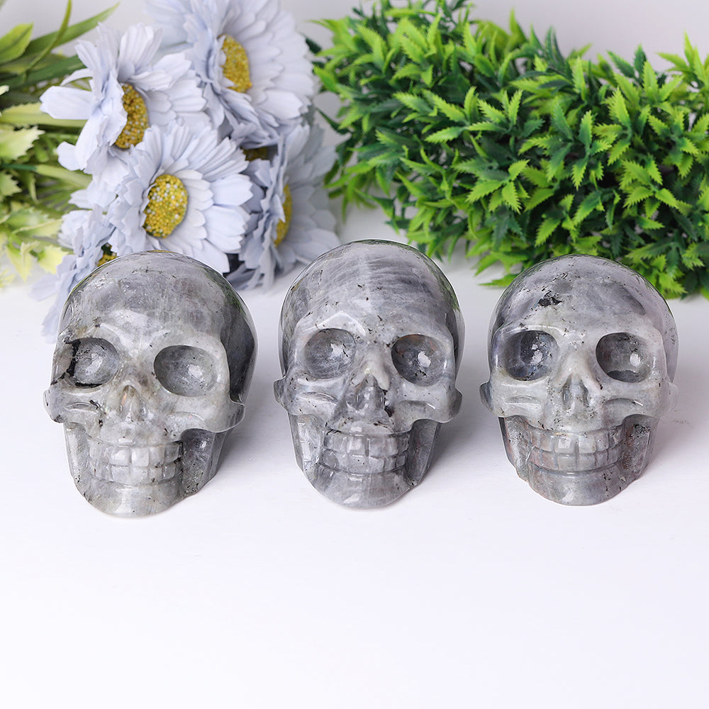 Labradorite Crystal Skull Carvings 3.5-4.7 Inch Display