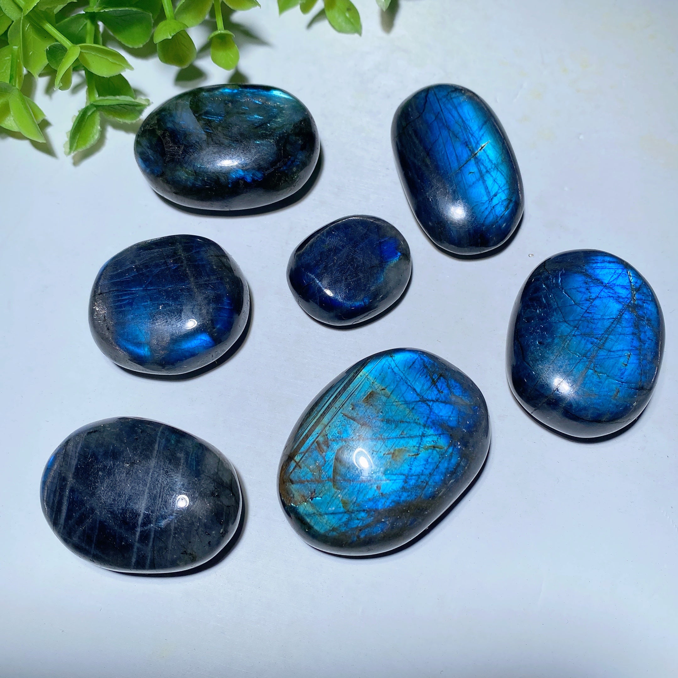 Labradorite Palm Stone 1.0-1.5 Inch for Healing