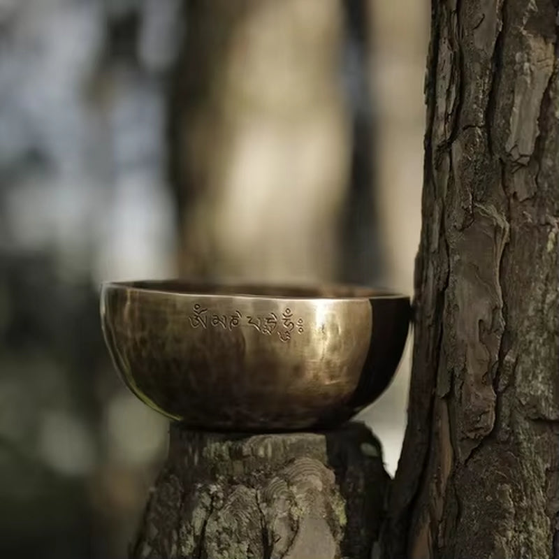 Large Tibetan Singing Bowl resting on tree bark, ideal for meditation and healing