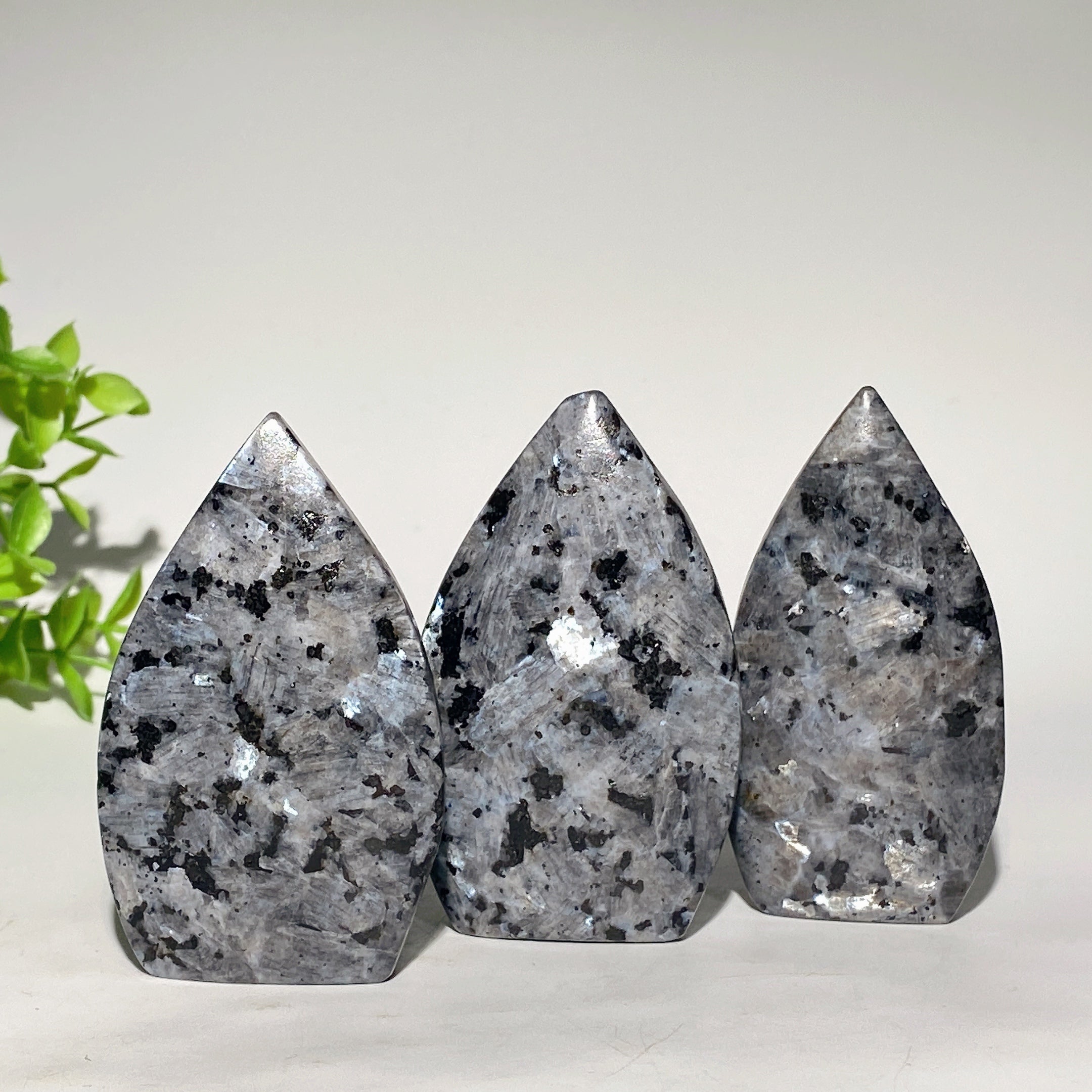 Larvikite Free Form Crystal 2.5-3.5 Inch Specimen