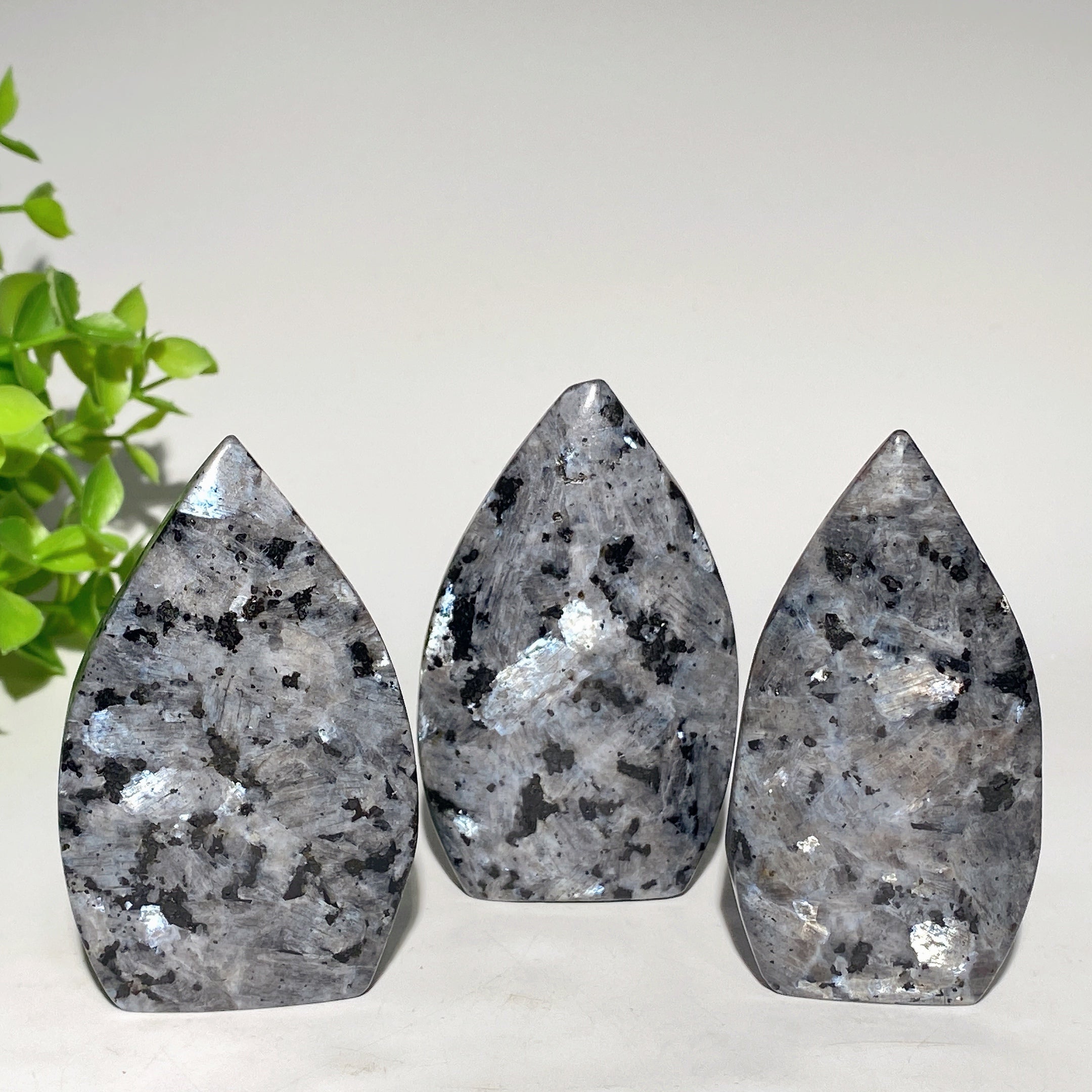 Larvikite Free Form Crystal 2.5-3.5 Inch Specimen
