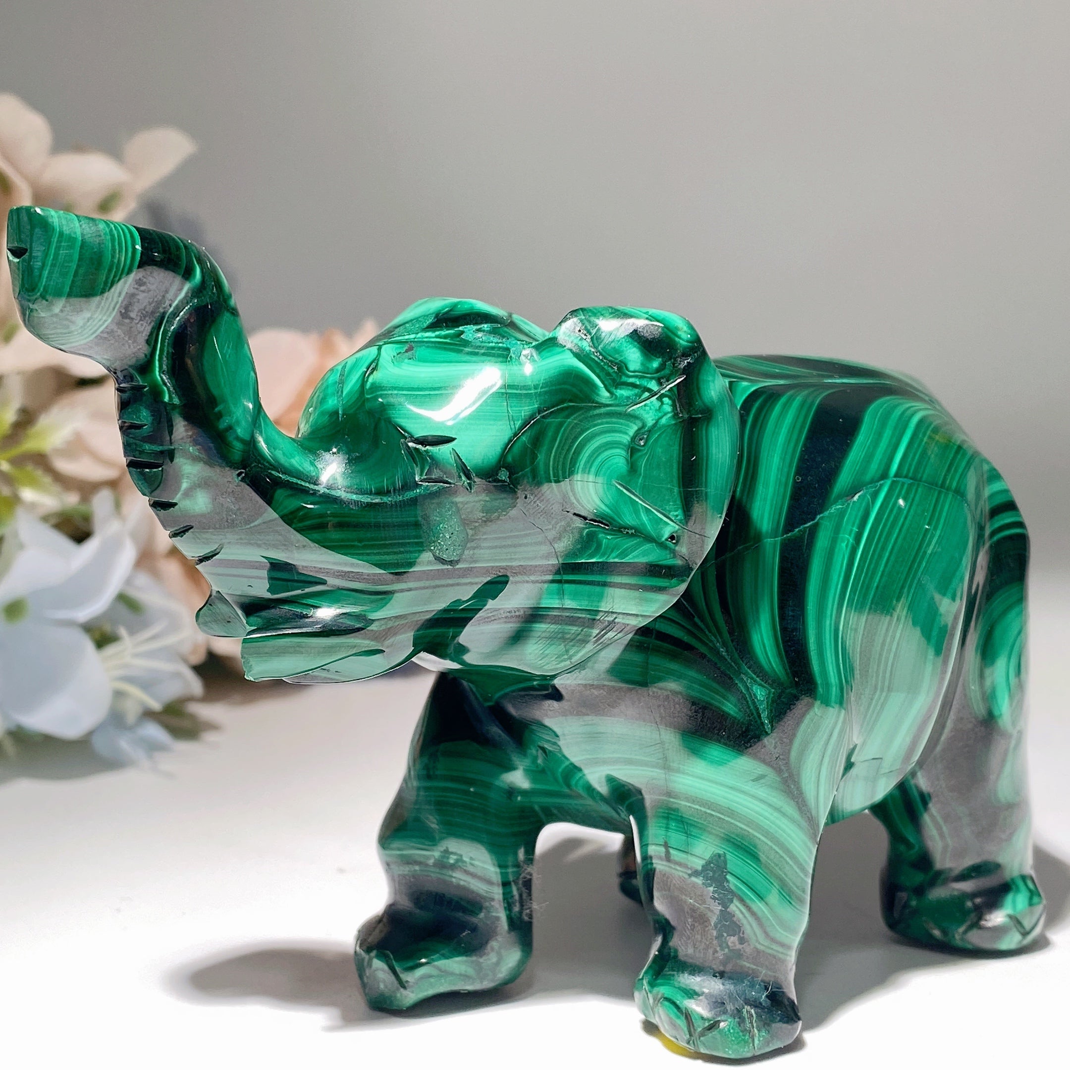 Malachite Crystal Animal Carvings 2.3-5.7 inch Healing Figurines