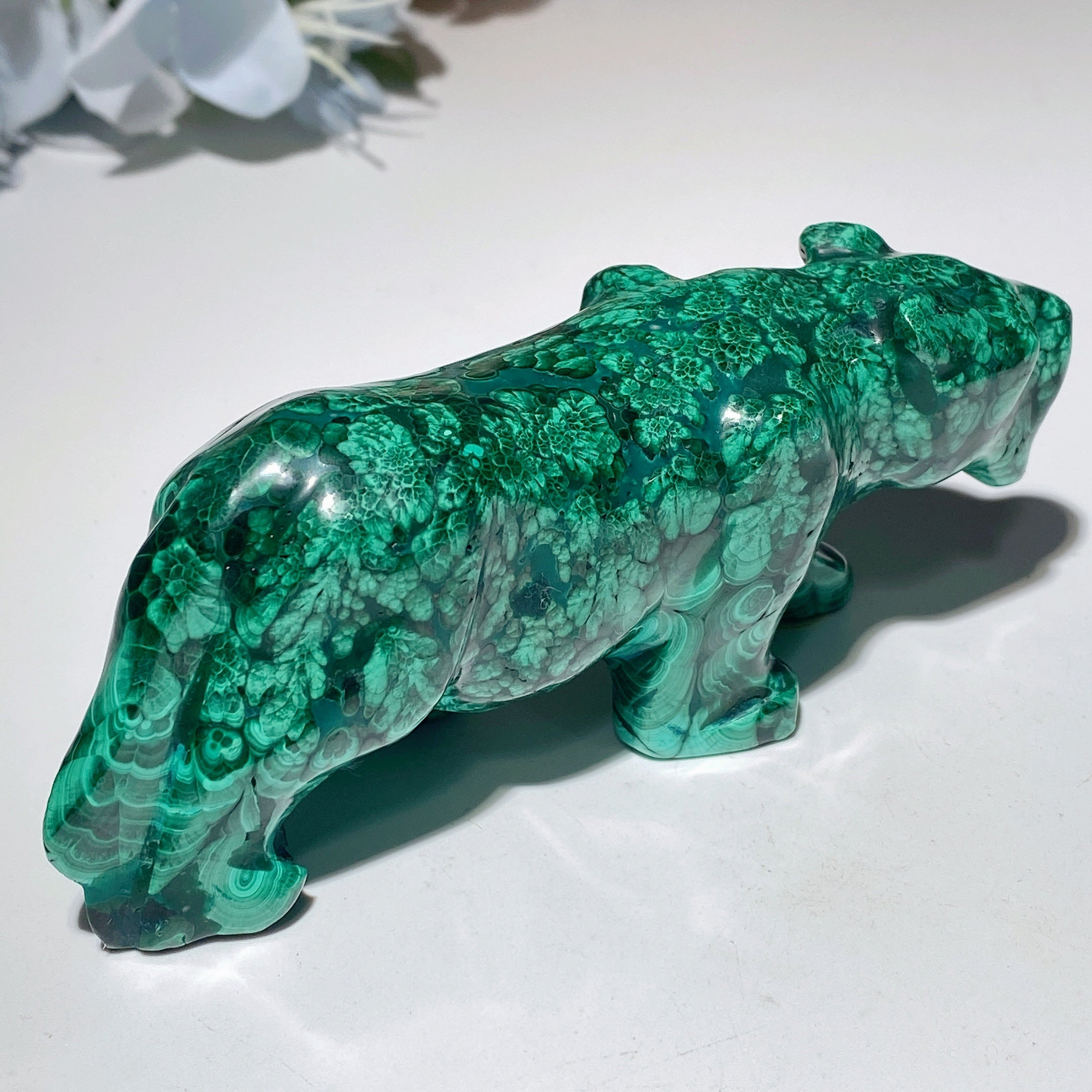 Malachite Crystal Animal Carvings 2.3-5.7 inch Healing Figurines