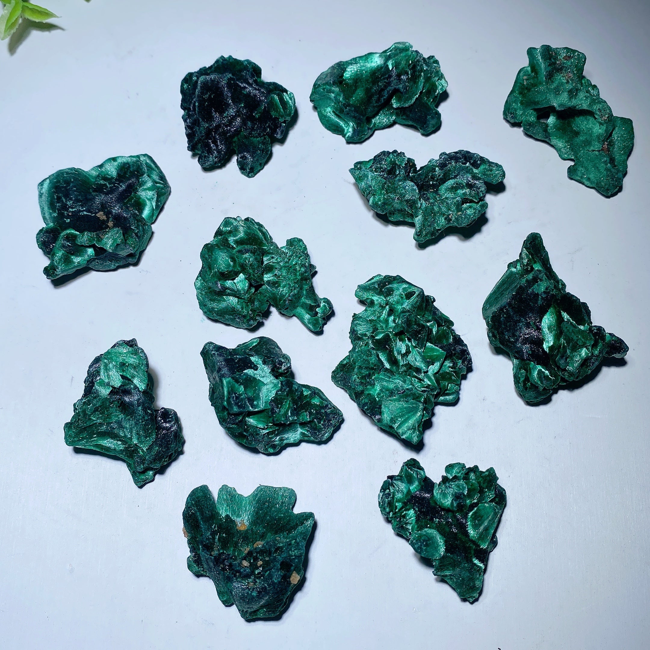 Malachite Raw Chunks 20-50mm Healing Crystals