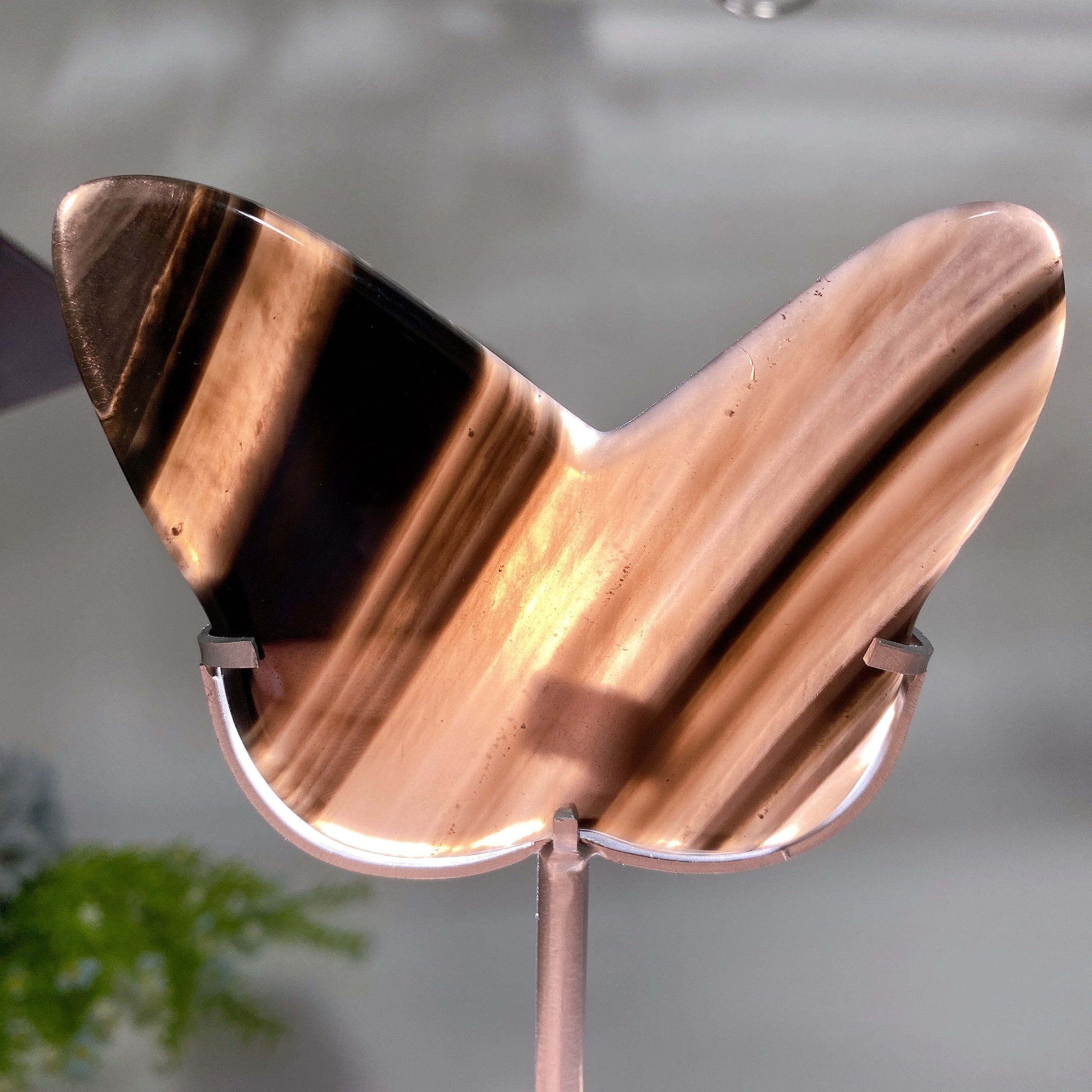 Midnight Lace Obsidian Crystal Carvings with Stand 4 Shapes