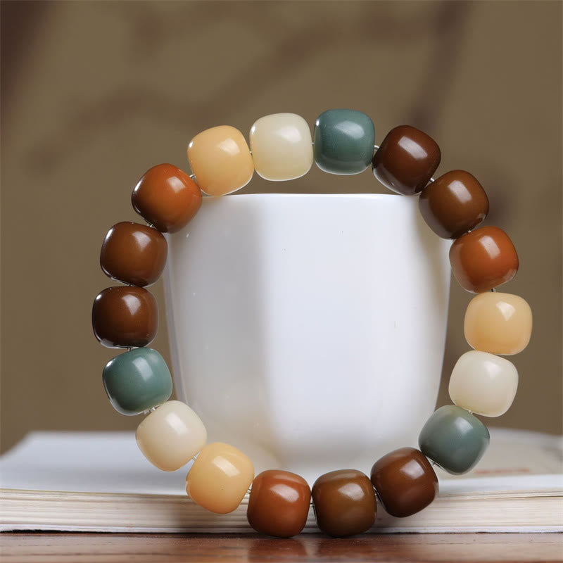 Multicolored Bodhi Seed Bracelet for Protection & Meditation