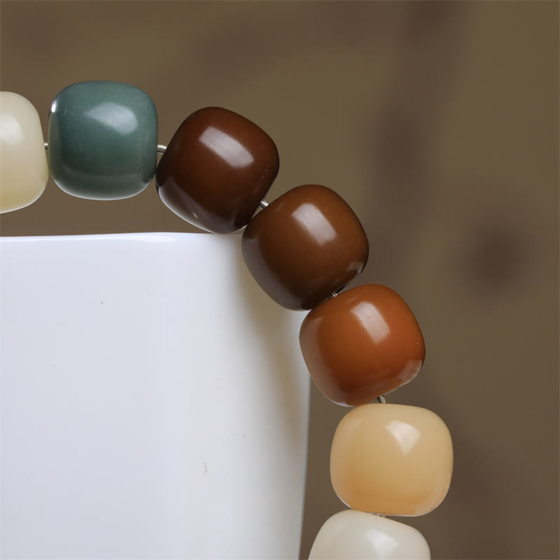 Multicolored Bodhi Seed Bracelet for Protection & Meditation