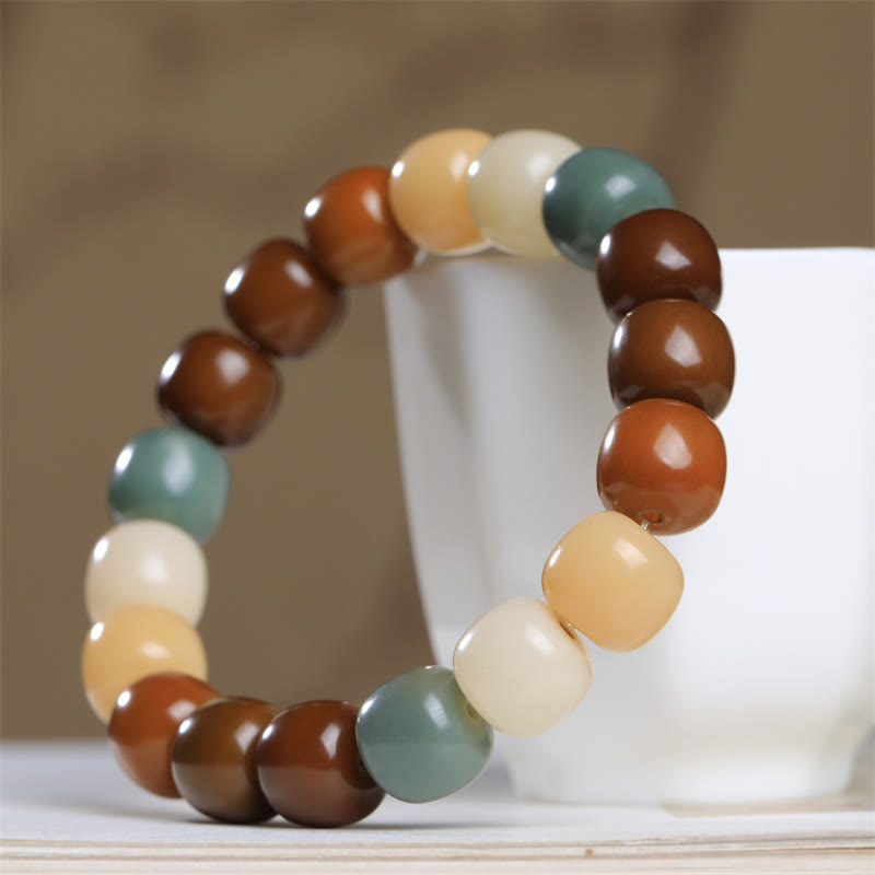 Multicolored Bodhi Seed Bracelet for Protection & Meditation
