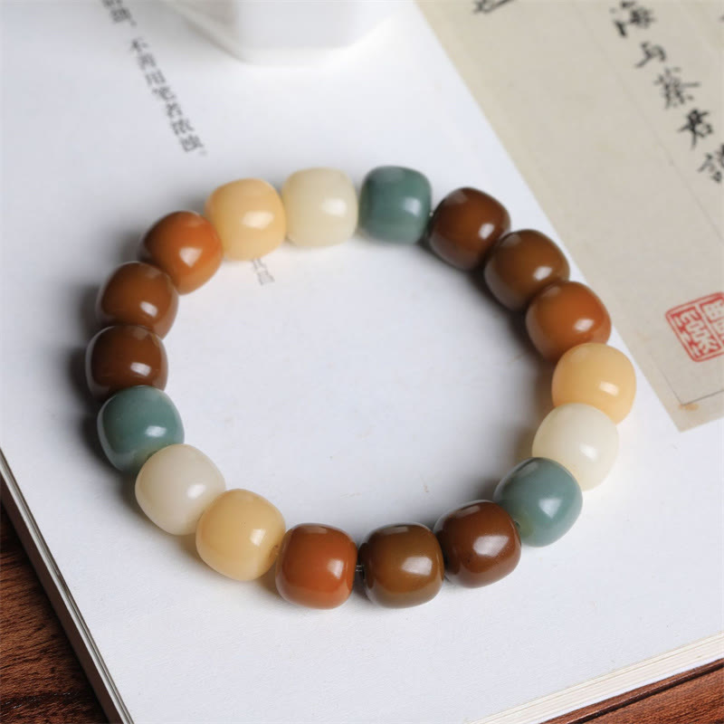 Multicolored Bodhi Seed Bracelet for Protection & Meditation