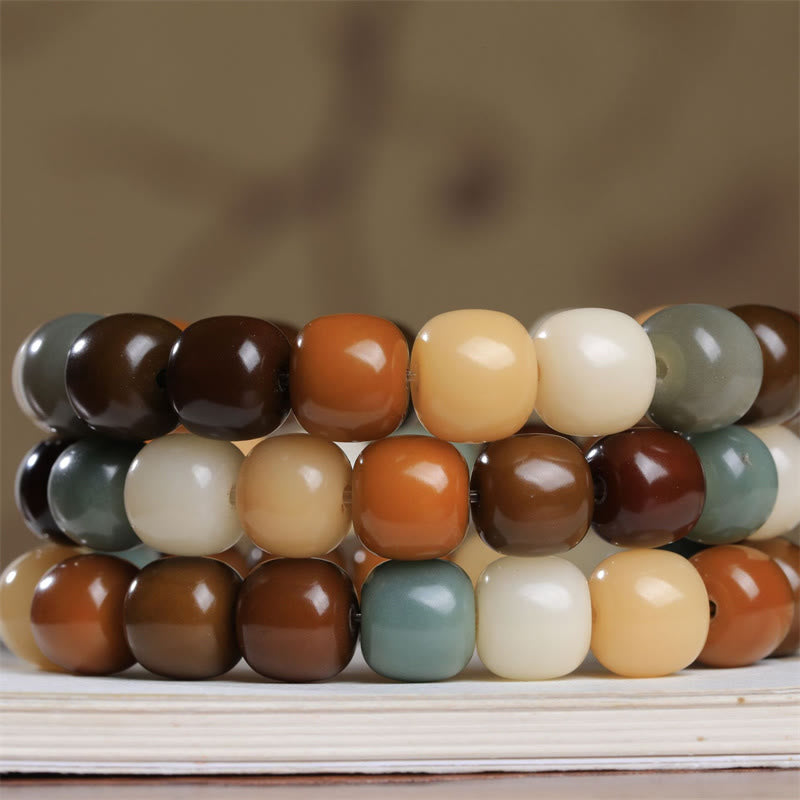 Multicolored Bodhi Seed Bracelet for Protection & Meditation