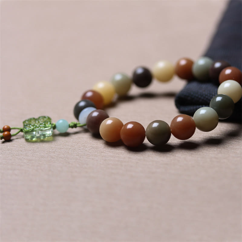 Natural Multicolored Bodhi Seed Spiritual Bracelet for Peace
