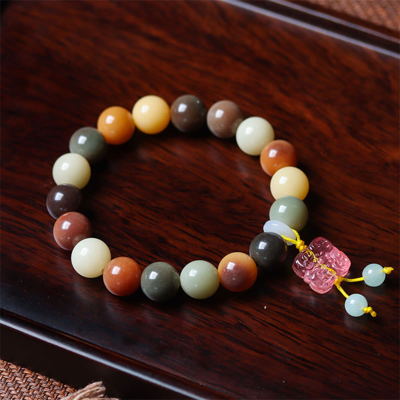 Natural Multicolored Bodhi Seed Spiritual Bracelet for Peace