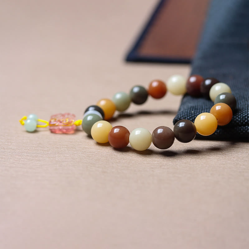 Natural Multicolored Bodhi Seed Spiritual Bracelet for Peace