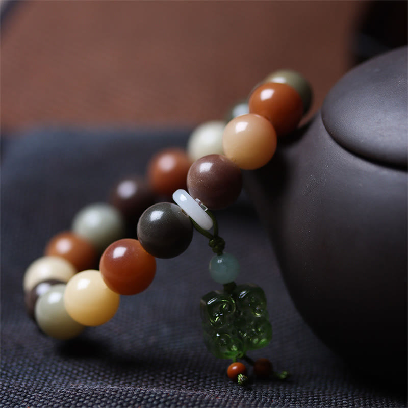Natural Multicolored Bodhi Seed Spiritual Bracelet for Peace