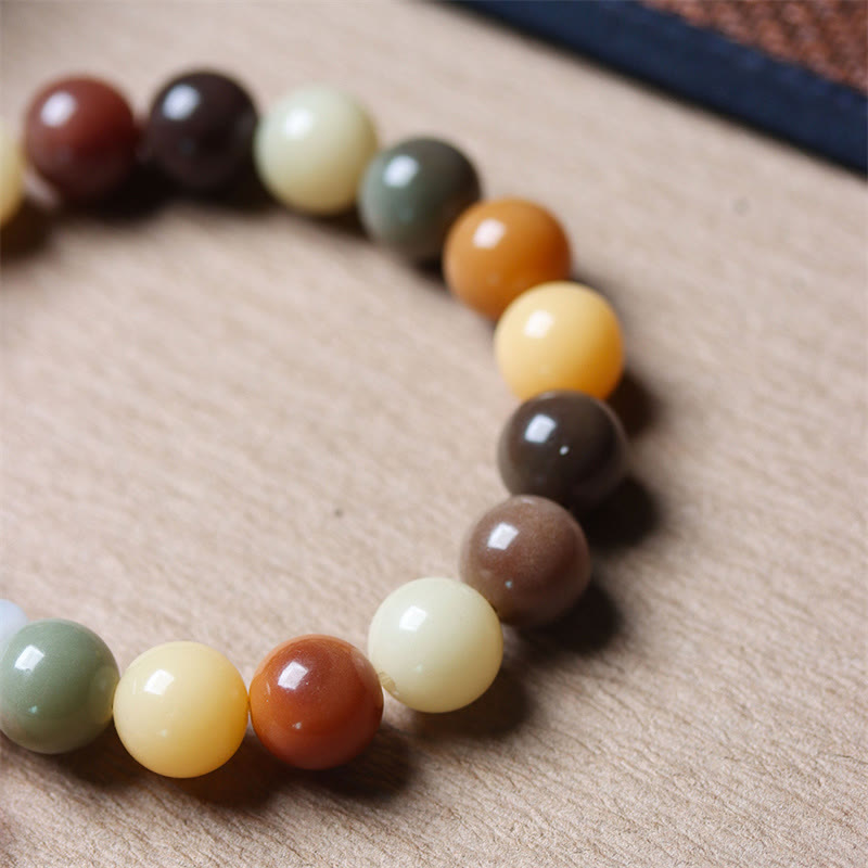 Natural Multicolored Bodhi Seed Spiritual Bracelet for Peace