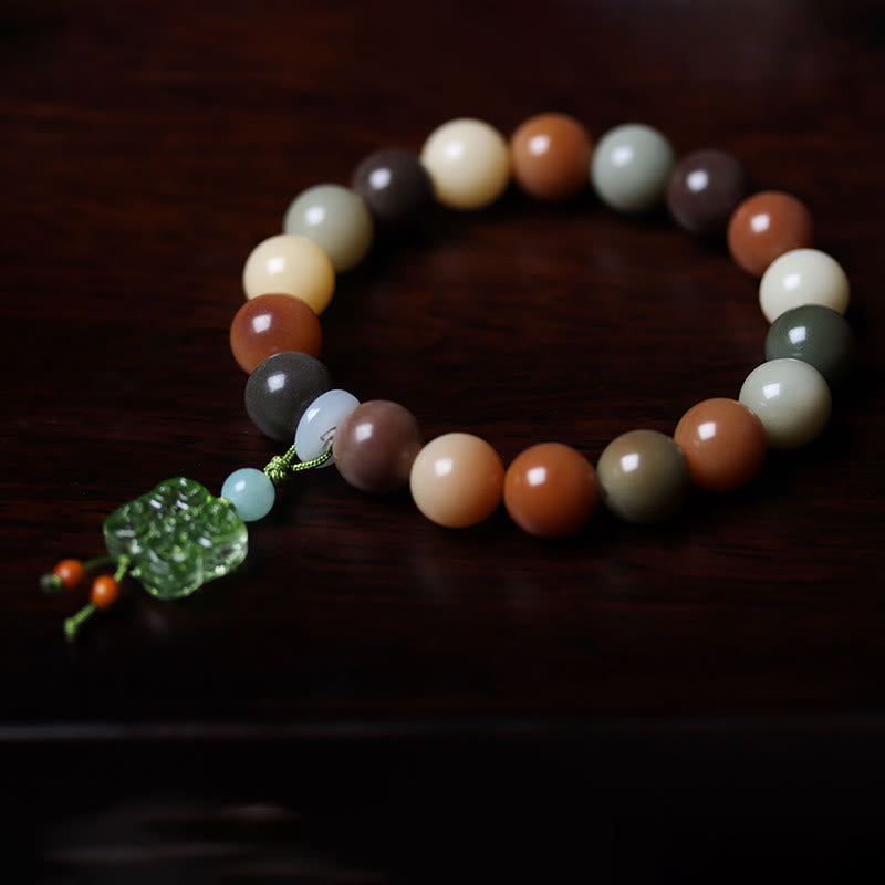 Natural Multicolored Bodhi Seed Spiritual Bracelet for Peace