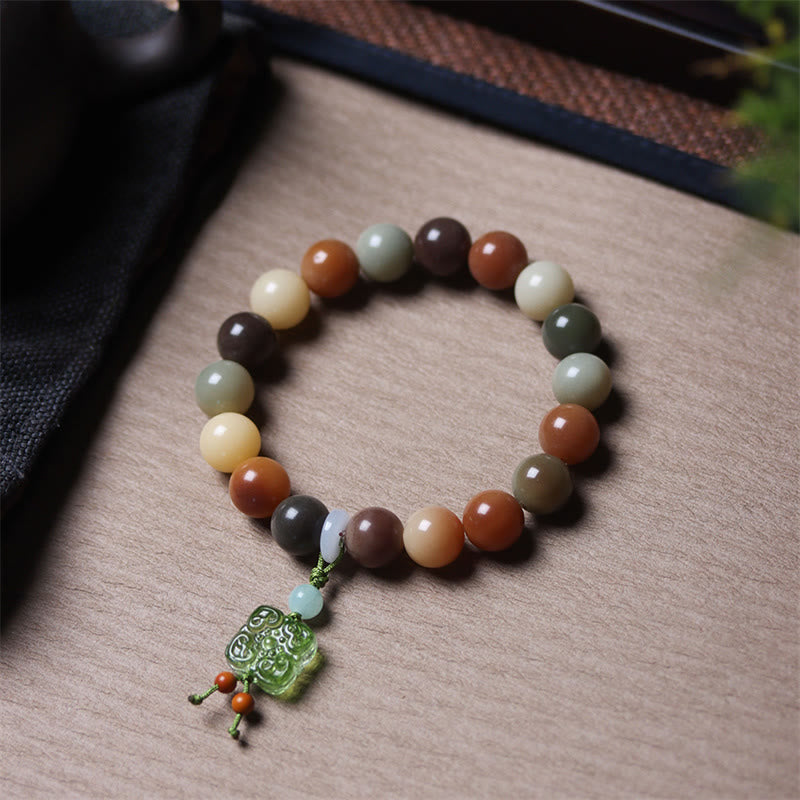 Natural Multicolored Bodhi Seed Spiritual Bracelet for Peace