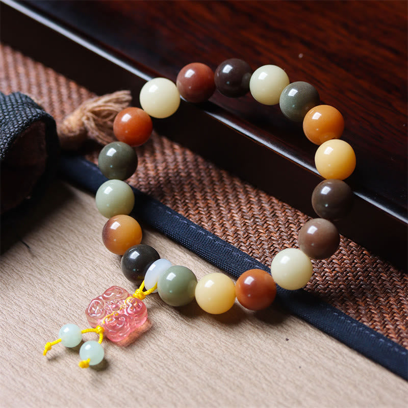Natural Multicolored Bodhi Seed Spiritual Bracelet for Peace