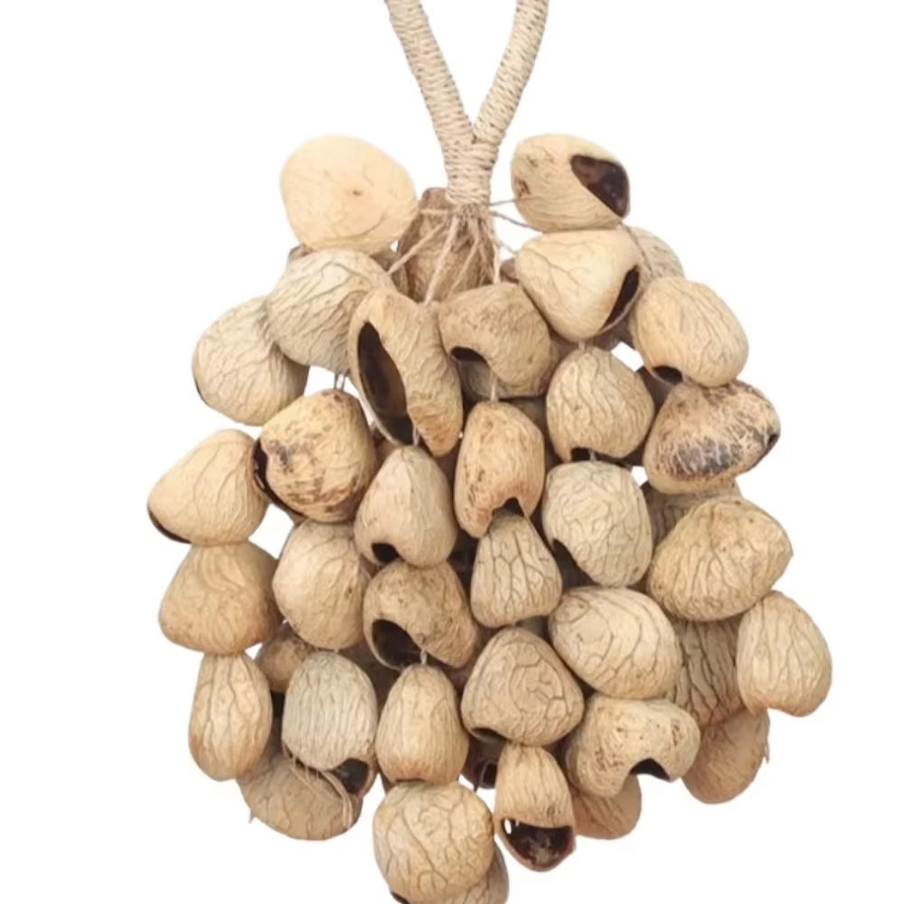 Hand Shell Instruments Shell Hand Ringer for Sale - Sound Healing & Yoga