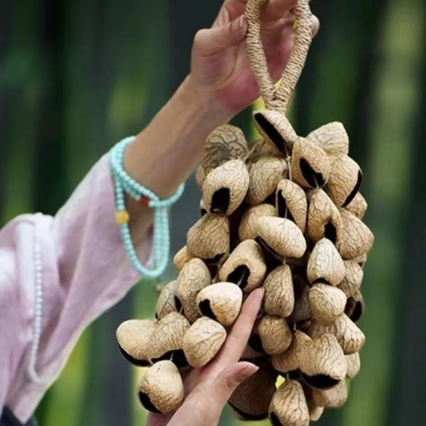 natural-shell-shaker-yoga-