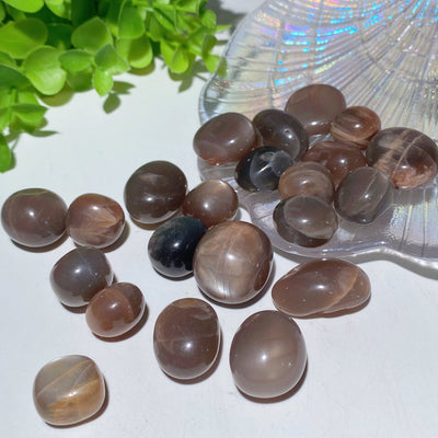 Natural Tumbled Stones 15-30mm for Crystal Healing