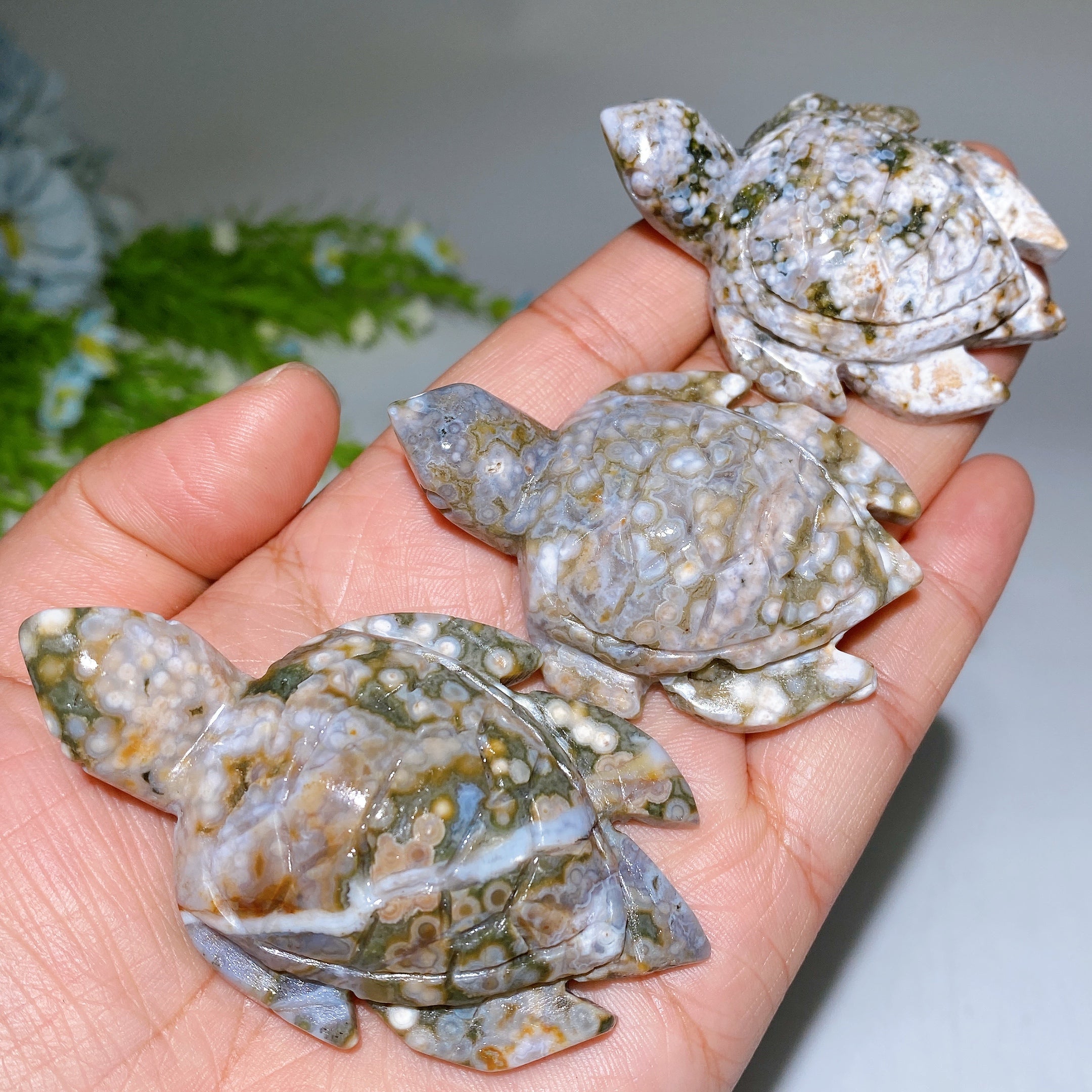Ocean Jasper Turtle Carving 2.1-3.0 inch Crystal Animal
