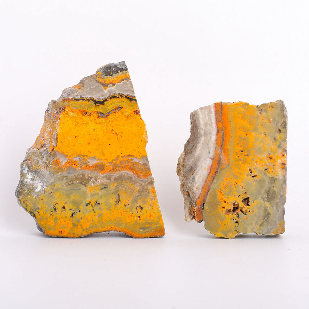 Polished Bumble Bee 290g Crystal Specimens Set of 2