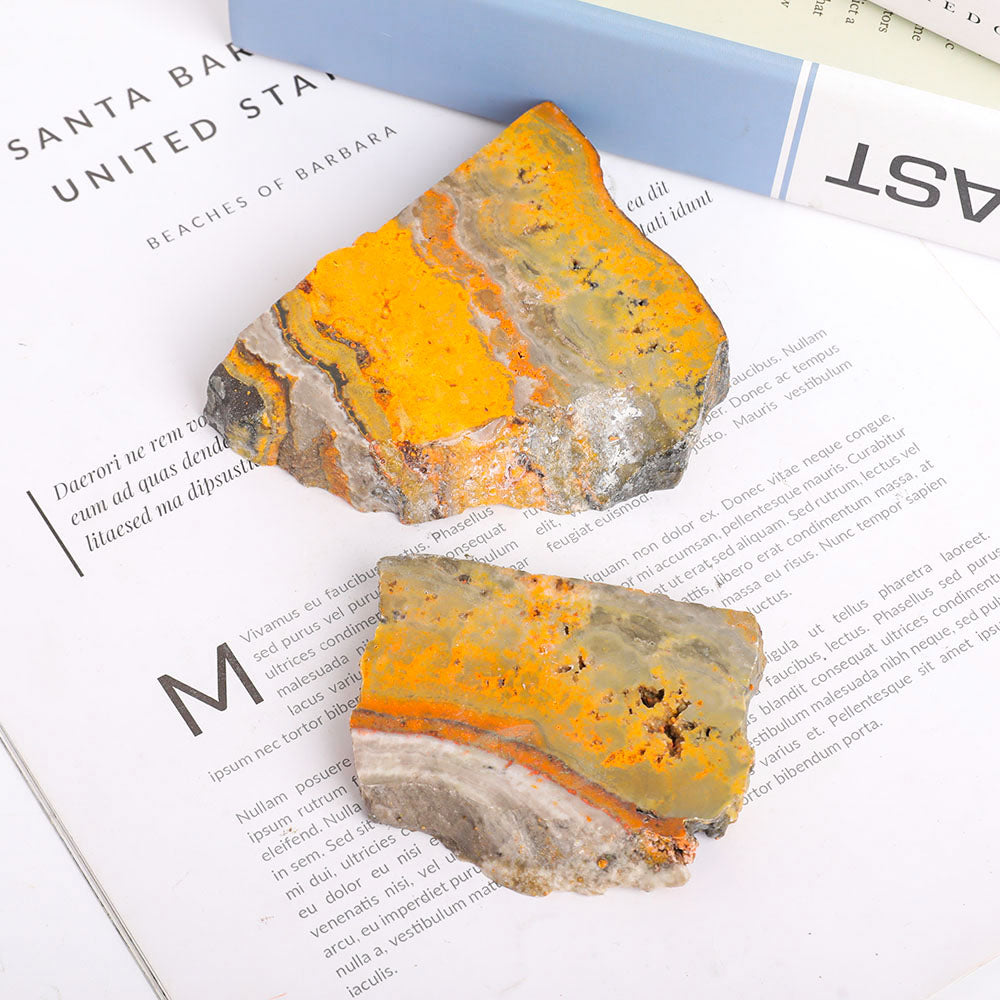 Polished Bumble Bee 290g Crystal Specimens Set of 2