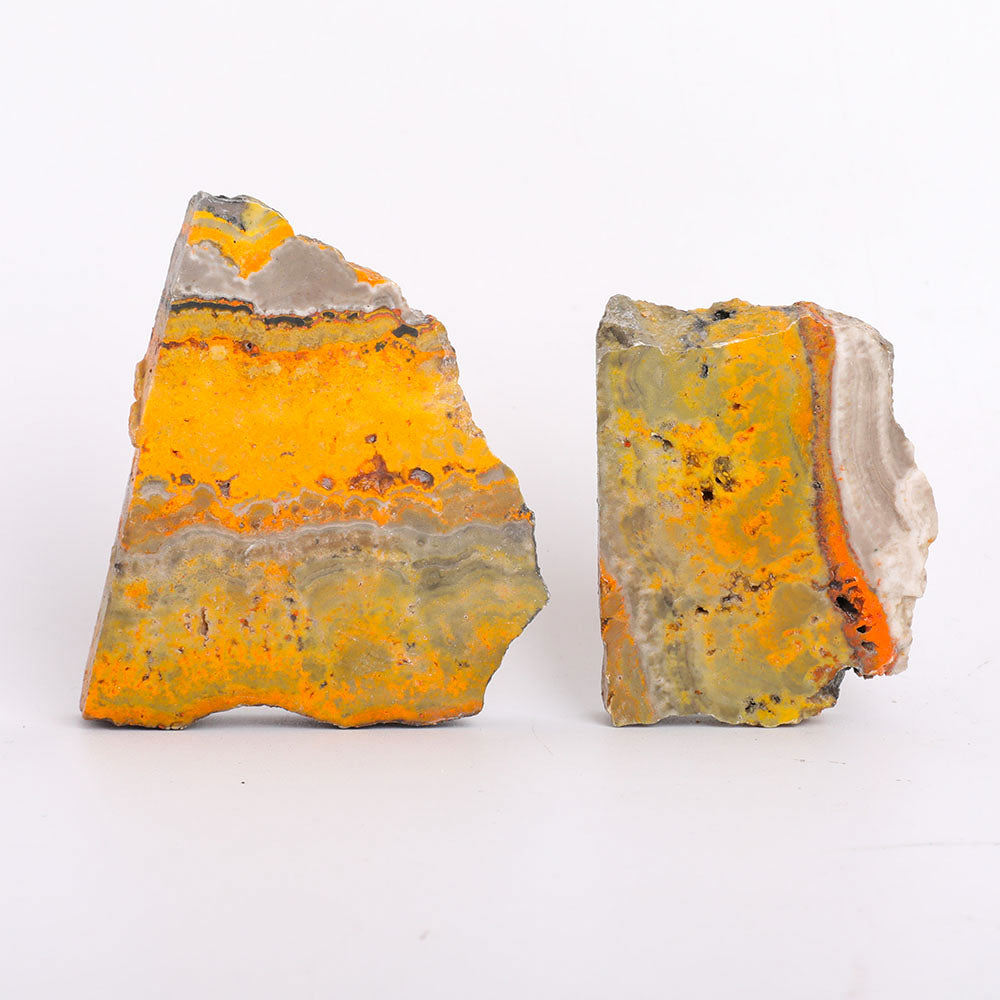 Polished Bumble Bee 290g Crystal Specimens Set of 2
