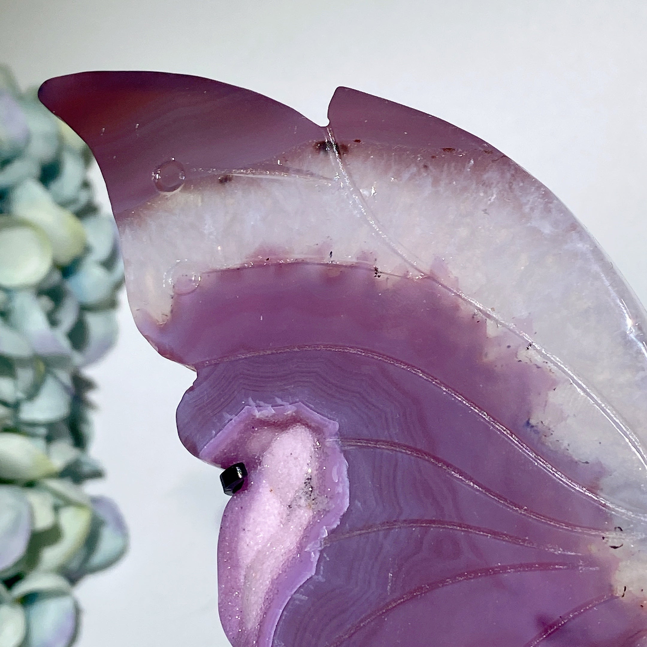 Purple Rose Druzy Agate Butterfly Wings Crystal Display 20-25cm