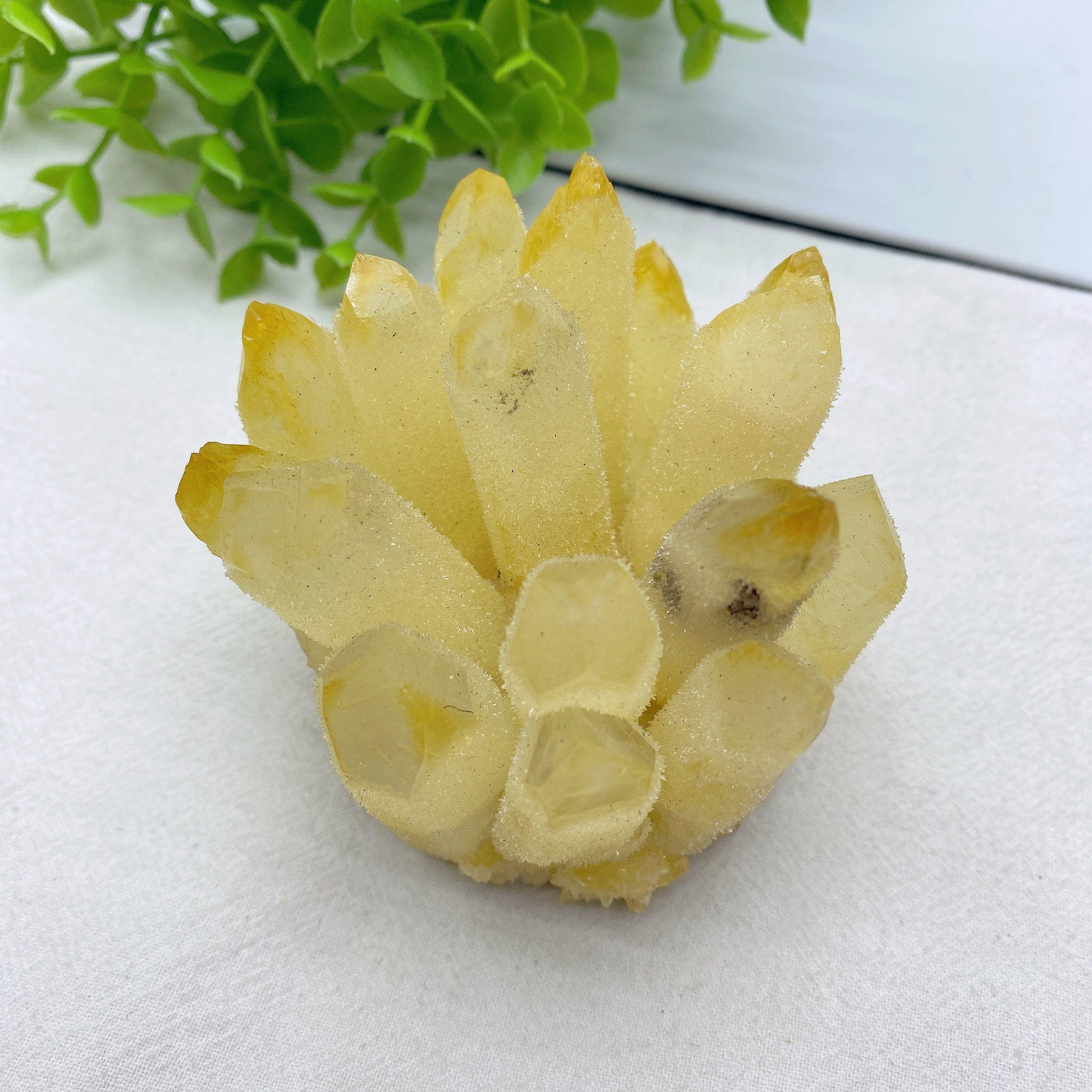 Quartz Clusters 3-4.5 Inch Natural Healing Crystals