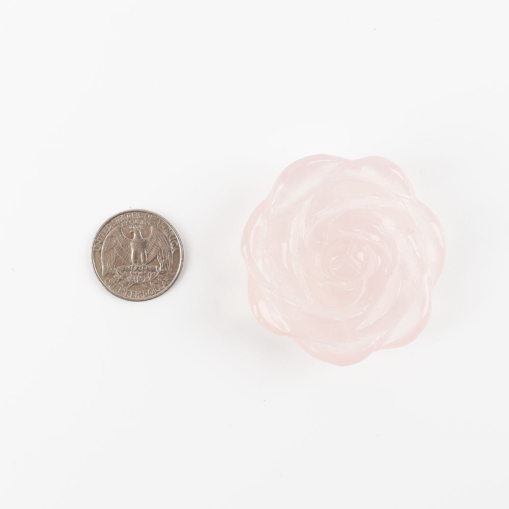 Rose Quartz Flower Free Form Crystal Specimen 2 Inch