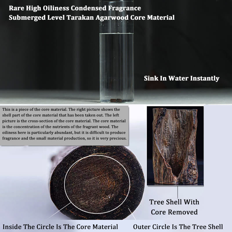 Tarakan Agarwood 925 Silver Gold Beads Zodiac Bracelet