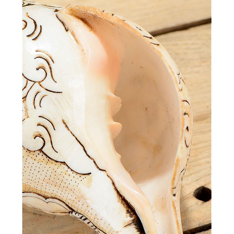 Tibetan Handmade Engraved Shankha Conch Shell Decoration