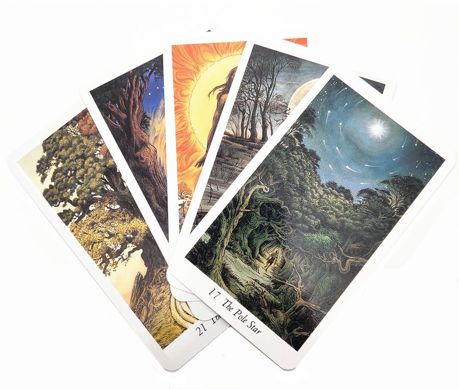 Wild Wood Tarot Deck - Meditation Supplies for Rituals