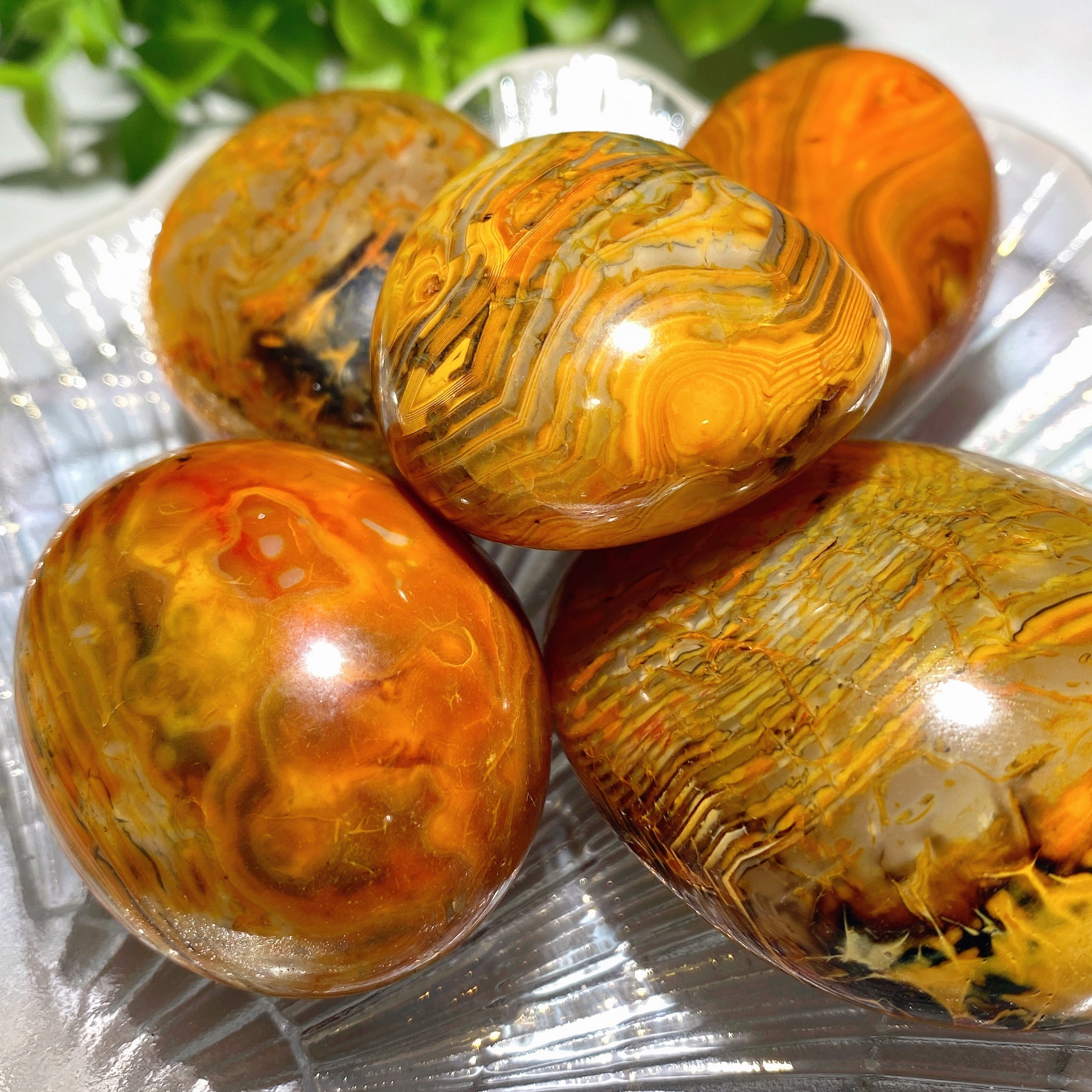 Yellow Bandage Agate Palm Stone 1.5-2 inch Healing Crystal