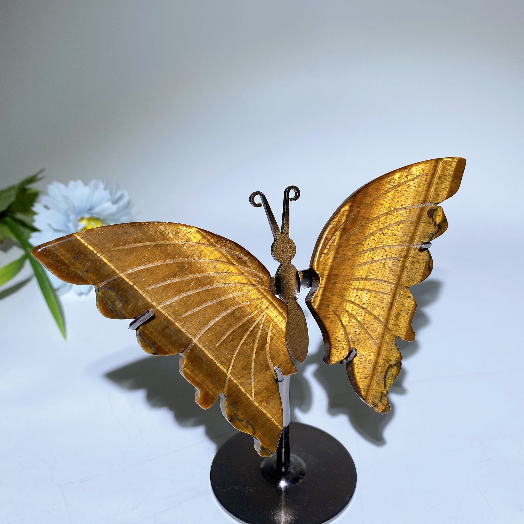Yellow Tiger Eye Butterfly Crystal Carving 14cm Healing Figurine