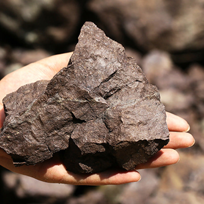 Yixing Handmade Brown Dragon Purple Clay Kung Fu Teapot 240ml